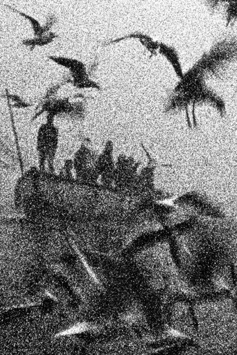 Poster of The Birds