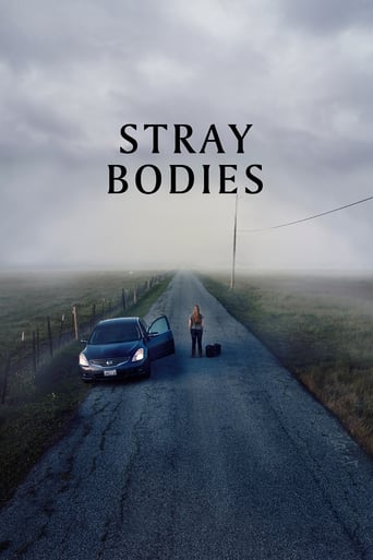 Poster of Stray Bodies