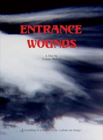 Entrance Wounds Poster of Entrance Wounds