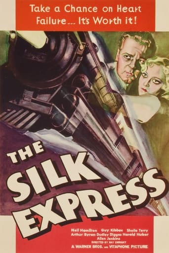 Poster of The Silk Express