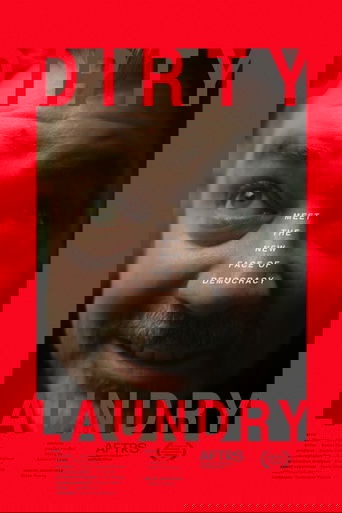 Poster of Dirty Laundry