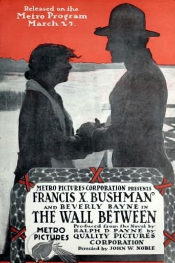 Poster of The Wall Between