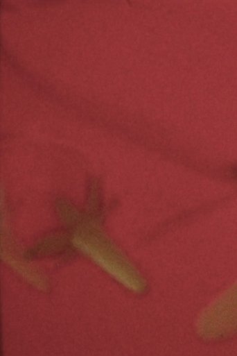 Poster of MARY (ON FLOWERS)