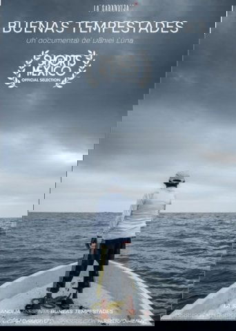 Poster of Good Storms