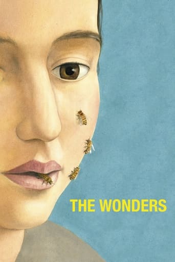 Poster of The Wonders
