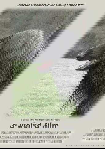 A Weird Film Poster of A Weird Film