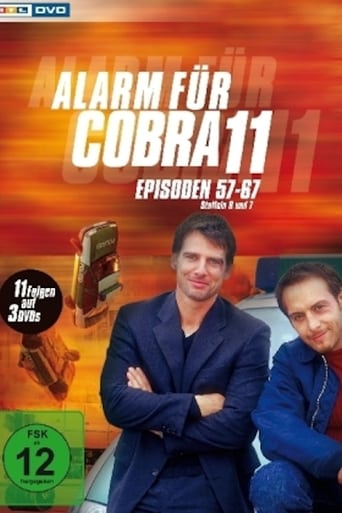 Portrait for Alarm for Cobra 11: The Motorway Police - Season 8