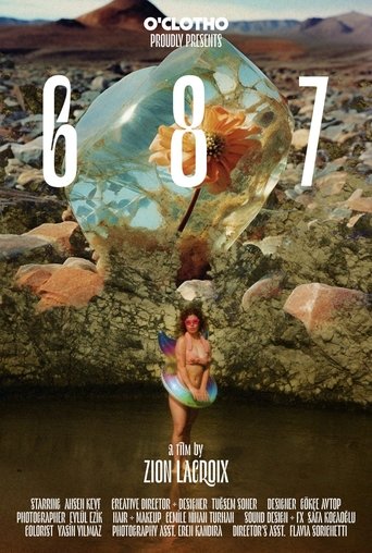 687 Poster of 687