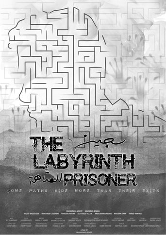 Poster of The Labyrinth Prisoner