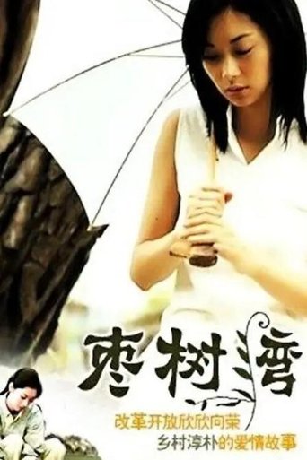 Poster of 枣树湾