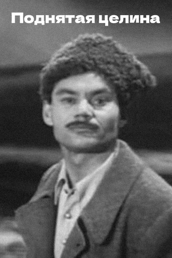 Poster of The New Land