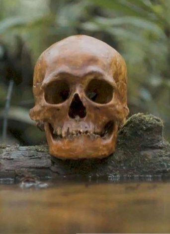 A Skull Poster of A Skull