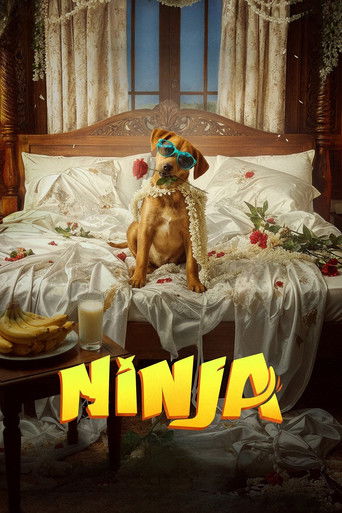 Poster of Ninja