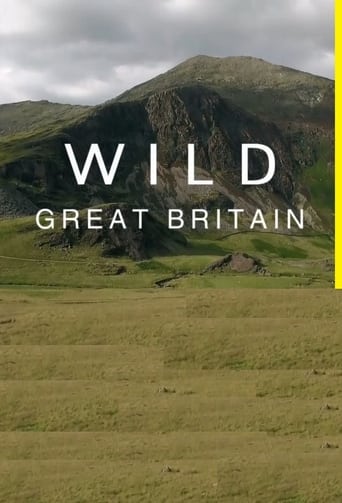Poster of Wild Great Britain