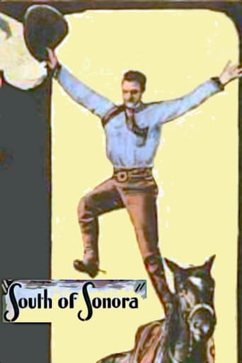 Poster of South of Sonora