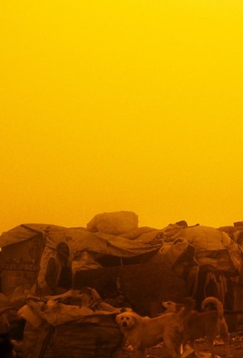 Poster of Dust Devil