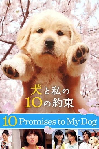Poster of 10 Promises to My Dog