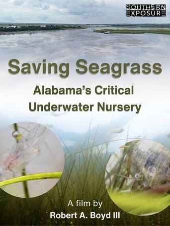 Poster of Saving Seagrass: Alabama's Critical Underwater Nursery