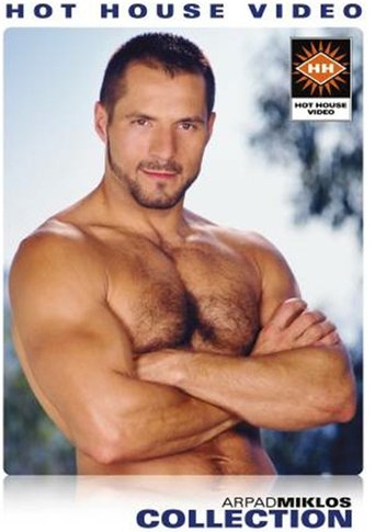 Poster of Arpad Miklos Collection