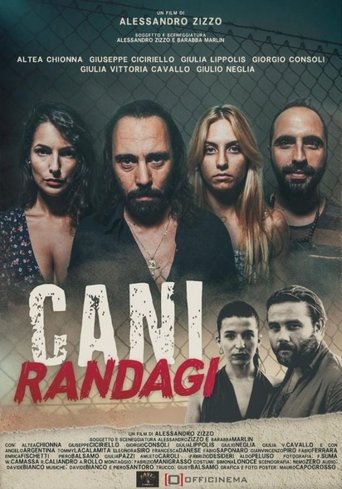 Cani randagi Poster of Cani randagi