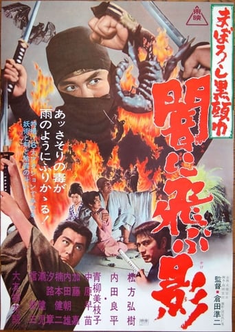 Poster of Black Ninja