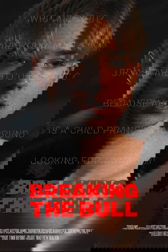 Poster of Breaking the Bull
