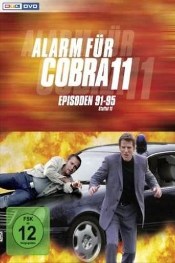 Portrait for Alarm for Cobra 11: The Motorway Police - Season 13