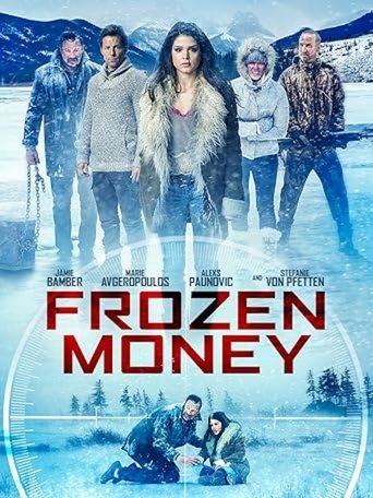 Poster of Frozen Money