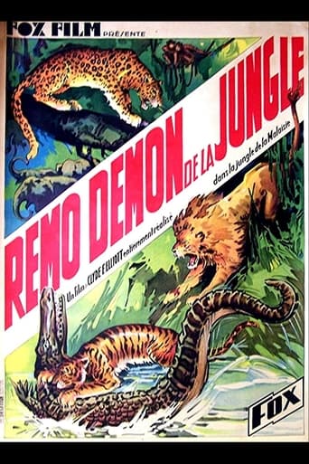 Poster of Devil Tiger