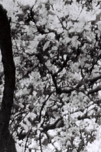 This is for Jonas Mekas Poster of This is for Jonas Mekas