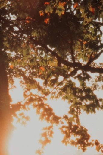 Autumn Sunrise Poster of Autumn Sunrise