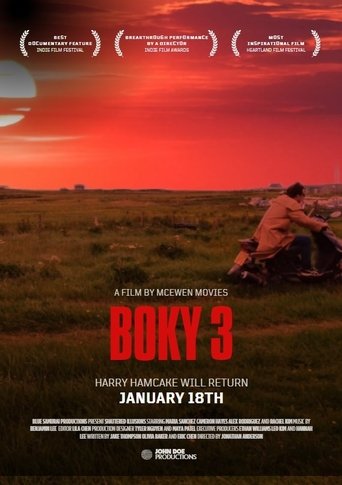 Poster of Boky III