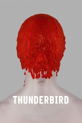 Poster of Thunderbird