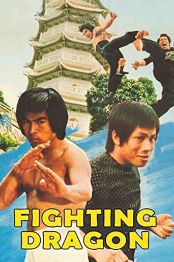 Poster of Fighting Dragon