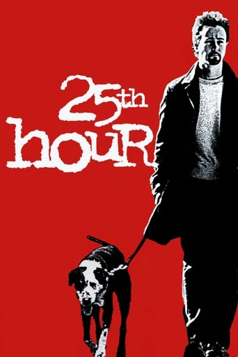 Poster of 25th Hour