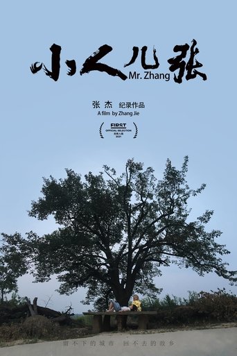 Poster of Mr. Zhang