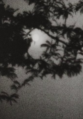 Poster of Moonplay