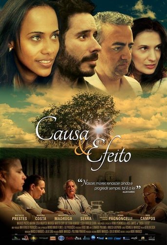 Causa & Efeito Poster of Causa & Efeito