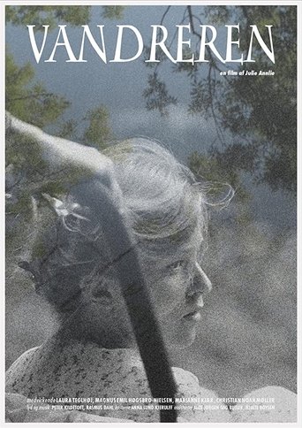 Poster of Vandreren