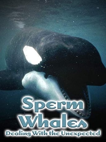 Poster of Sperm Whales: Dealing with the Unexpected
