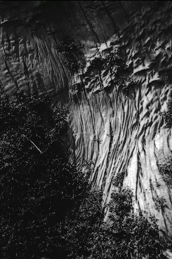 Poster of Black River
