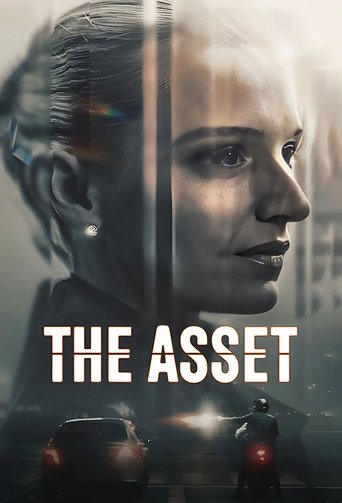 Poster of The Asset