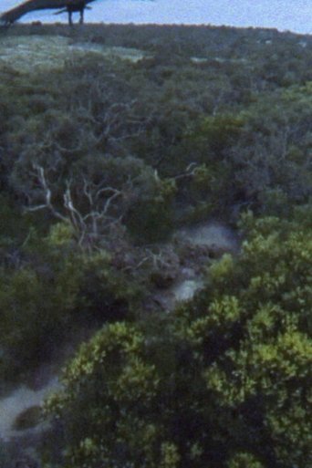 Poster of National Bird 2