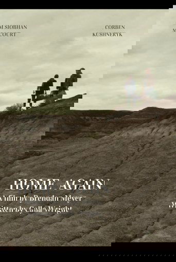 Poster of Home Again
