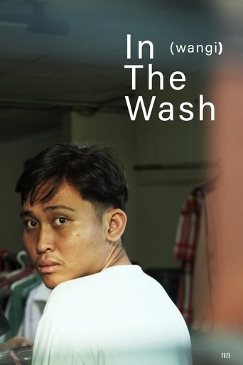 In The Wash Poster of In The Wash