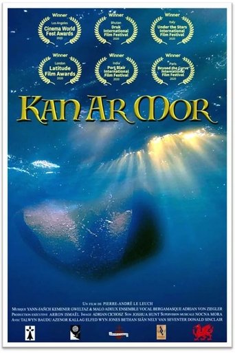Poster of The song of the sea
