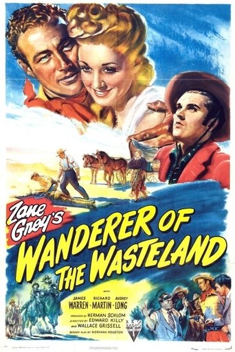Poster of Wanderer of the Wasteland