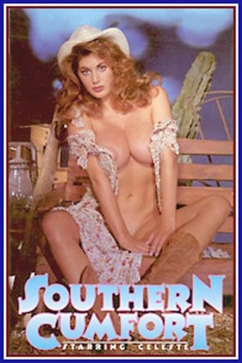 Poster of Southern Cumfort