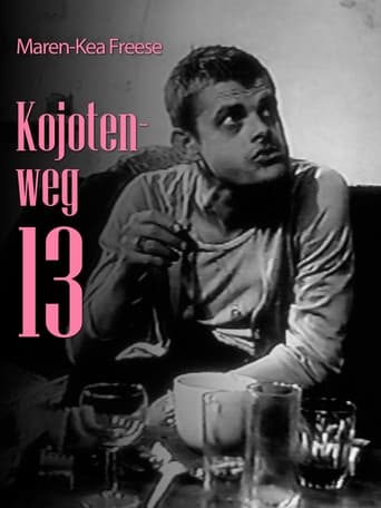 Poster of Kojotenweg 13