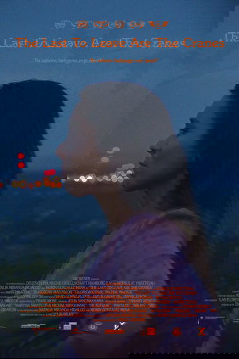 Poster of The Last to Leave Are the Cranes